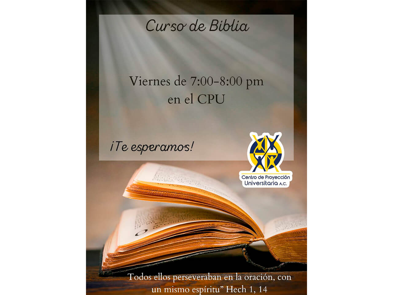 imagen cursos